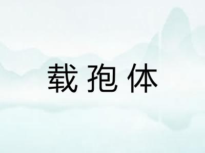 载孢体