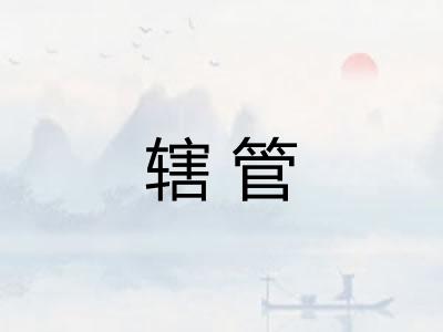 辖管