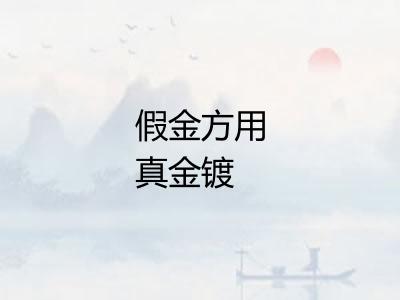 假金方用真金镀 假金方用真金镀