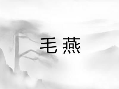 毛燕