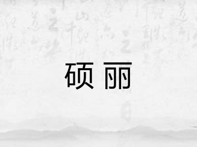硕丽