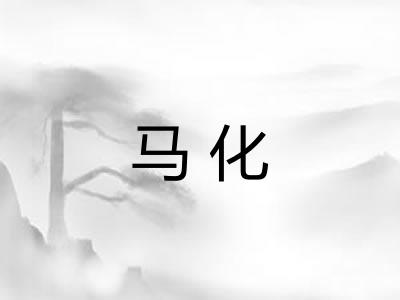 马化 马化