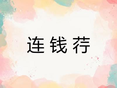 连钱荇