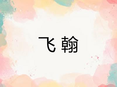 飞翰