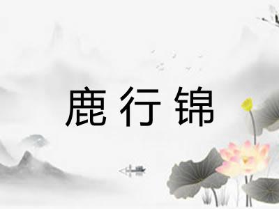 鹿行锦