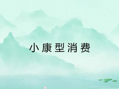 小康型消费
