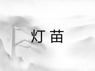 灯苗