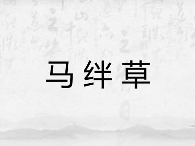 马绊草