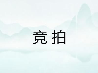 竞拍 竞拍