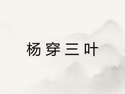 杨穿三叶 杨穿三叶