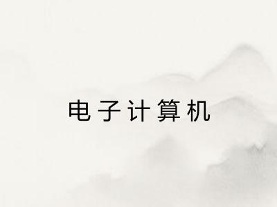 电子计算机 电子计算机
