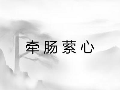 牵肠萦心