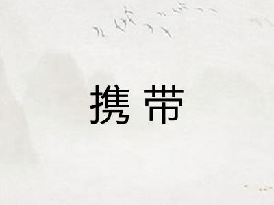 携带 携带