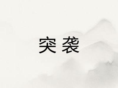 突袭