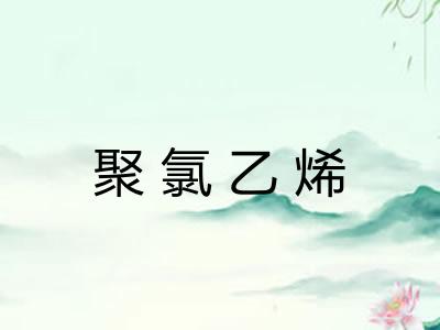 聚氯乙烯 聚氯乙烯