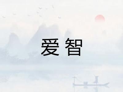 爱智