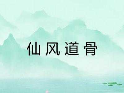 仙风道骨 仙风道骨