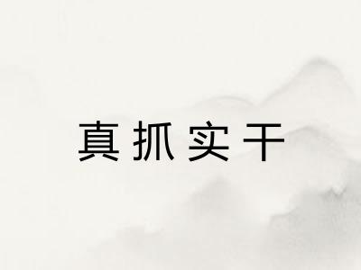 真抓实干