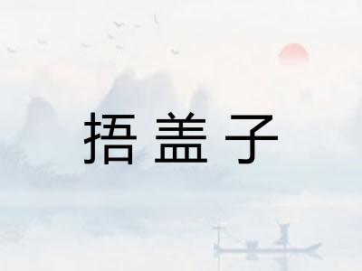 捂盖子