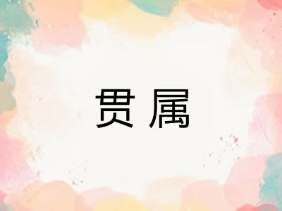 贯属 贯属