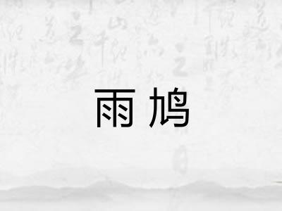 雨鸠 雨鸠