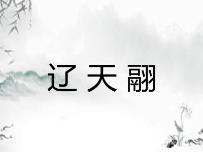 辽天翮