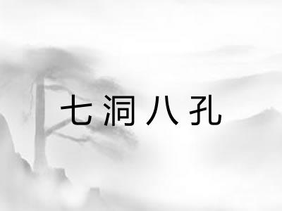 七洞八孔