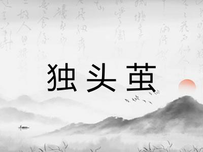 独头茧