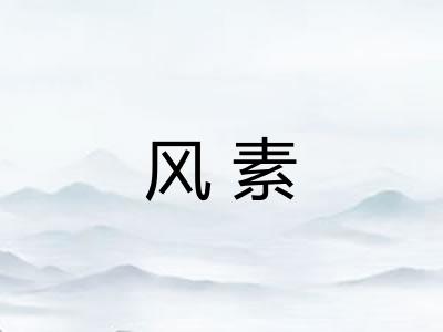 风素