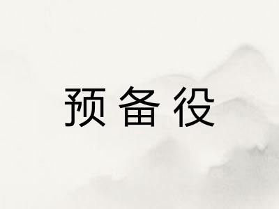 预备役