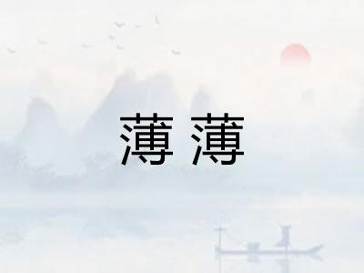 薄薄