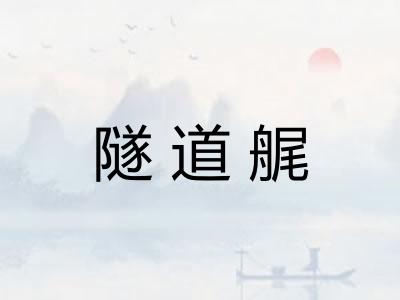 隧道艉 隧道艉