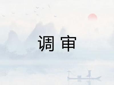 调审