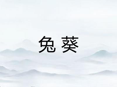 兔葵