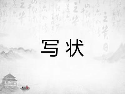写状