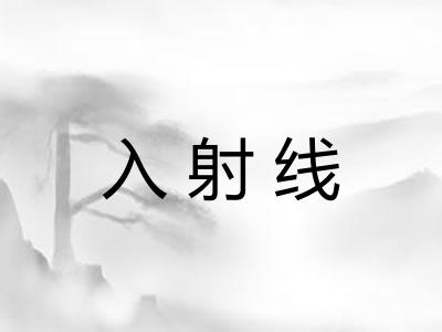 入射线