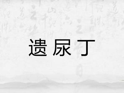 遗尿丁 遗尿丁