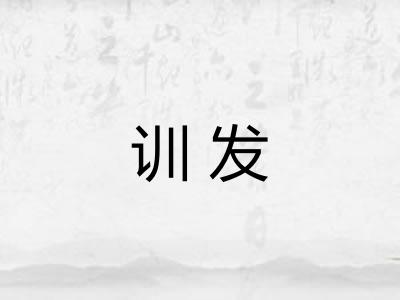 训发