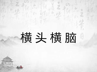横头横脑