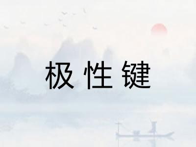 极性键