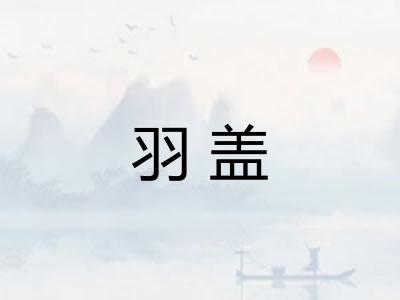 羽盖