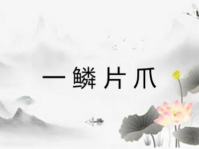 一鳞片爪