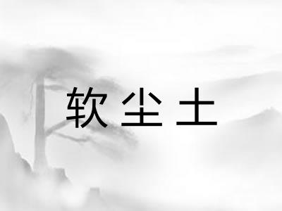软尘土