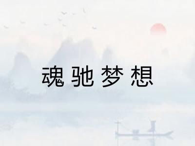 魂驰梦想 魂驰梦想
