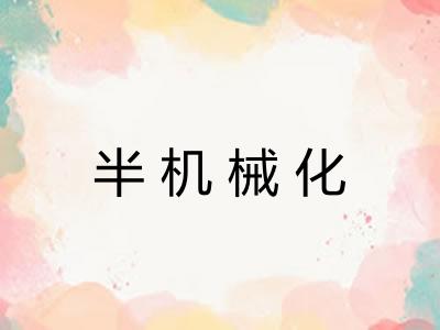 半机械化 半机械化