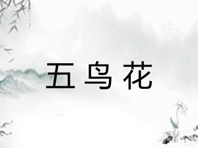 五鸟花