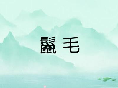 鬣毛 鬣毛