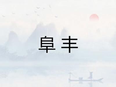 阜丰