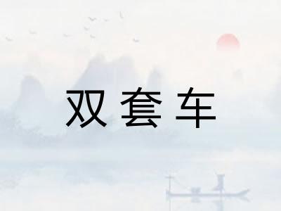 双套车