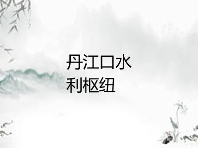 丹江口水利枢纽 丹江口水利枢纽
